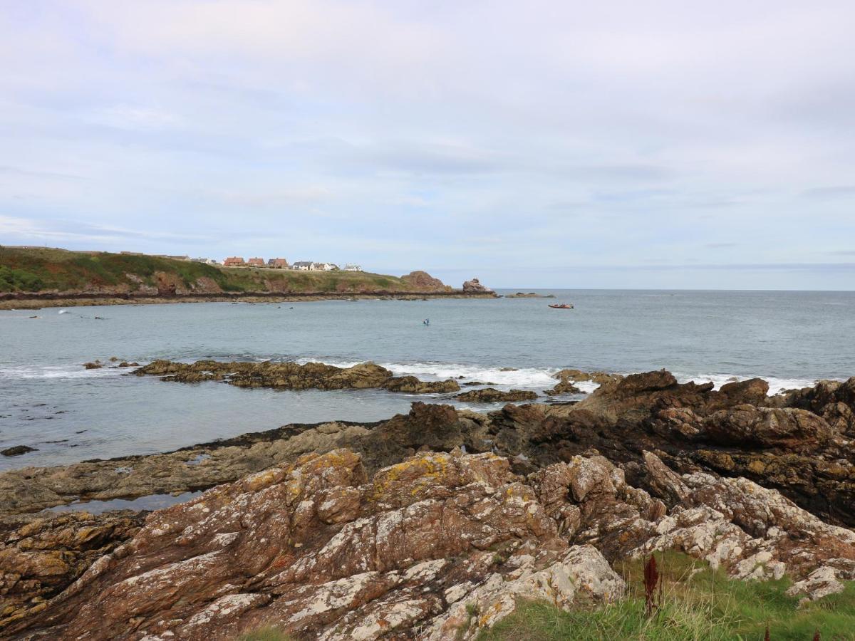 Meadow Lodge Coldingham Exteriér fotografie